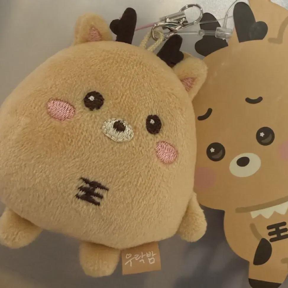 Riize Sungchan Mini Urak Night Keyring
