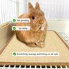 Voor dieren – Meubels voor huisdieren