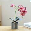 Jedwabny Motyl Storczyk Sztuczne Kwiaty Bonsai Storczyk Phalaenopsis Doniczka Dekoracje Domowe Ślubne Aranżacje Sztuczne Rośliny