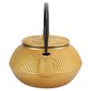 Stovetop Cast Iron Teapot Stainless Steel Infuser Japanese Tetsubin Kettle  Tea Brewing