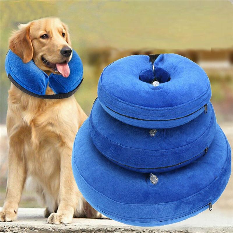 trixie inflatable collar