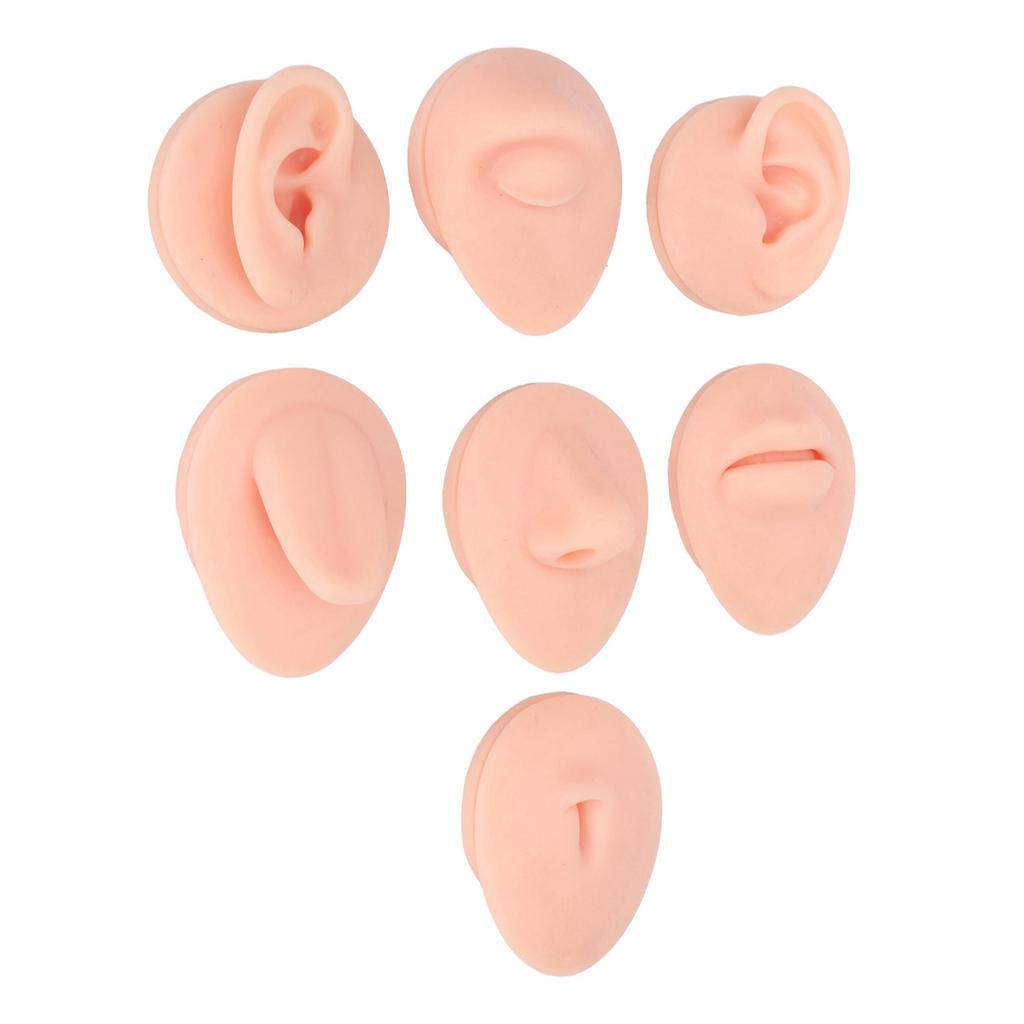 Silicone Body Part Model Soft Silicone Ear Mouth Nose Eye Tongue Navel Model with Display Rack for Teaching Display