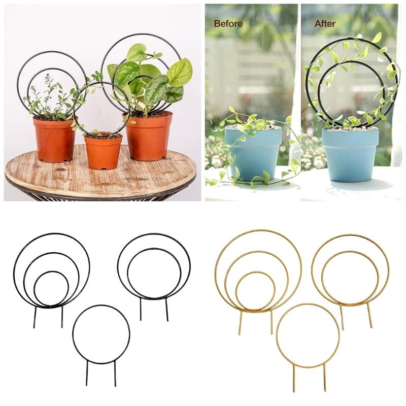 3 Stück Runder Metall-Pflanzenrankgitter für Kletterpflanzen Innen-Hauspflanzen-Stützgitter für Garten-Topfpflanzen-Stütze
