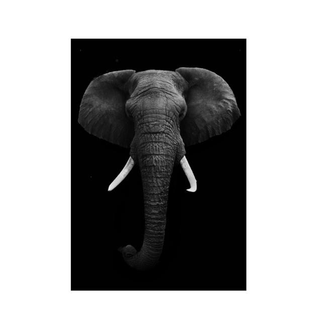 Modern Canvas Painting Black White Animal Posters and Prints Lion Elephant Deer Zebra Wall Pictures for Living Room Home Decor No Frame