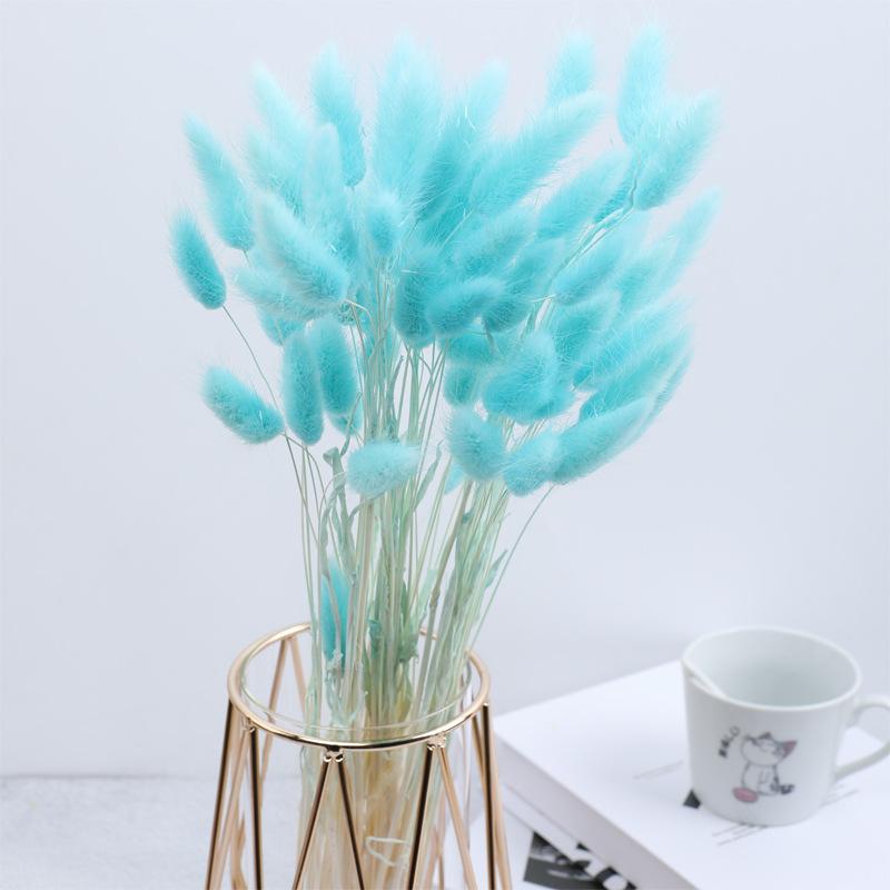 Rabbit Tail Grass Dried Flower Bouquet Home Decoration Flower Arrangement Dog Tail Grass Dried Flower Rabbit Tail Grass