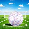 1pc Axolotl Fantasy World Size 5 Soccer Ball Professional Match Training Football Indoor &Outdoor Sports Ball Lightweight Durable C654