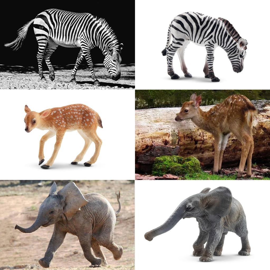 TOYMANY 12-Piece Wildlife Figure Set, Realistic Forest Animal Models, Popular Animal Toys, Birthday Gifts, Decorations, Christmas, New Year's