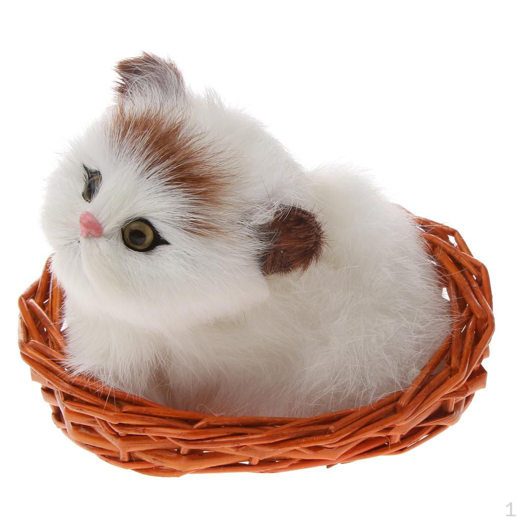 

Очаровательный маленький сидящий кот с настоящим животным