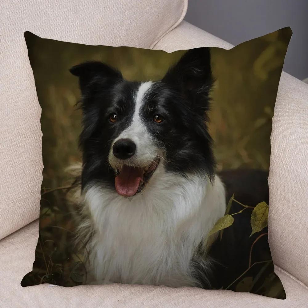 Cute Pet Animal  Cushion Cover Scotland Border Collie Pillowcase for Sofa Car Decor Dog Printed Soft Plush Pillow Case