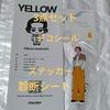 [USED] Hikaru Iwamoto Decoration Sticker (Yellow) Compatibility Test Sheet Sticker Korea