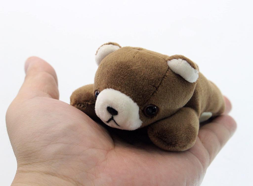 Take Off Pokepuni Brown Bear