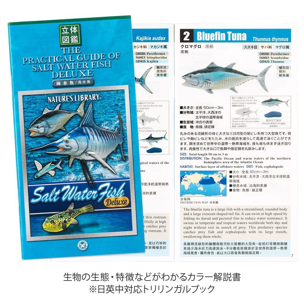 Calorata Saltwater Fish Figure Deluxe Set (15 Species  Boxed  Instruction Manual  Food Sanitation Law Compliant) 3D Illustrated Guide, Realistic Fish