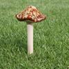 4PCS Ceramics Pottery Sculpture Realistic Mushroom Sculpture Fairy Mushroom  Exposed Garden