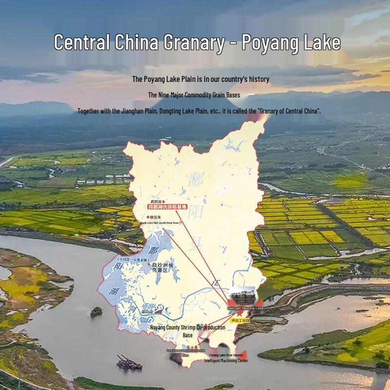 Poyang Lake Cat Tooth Silk Rice