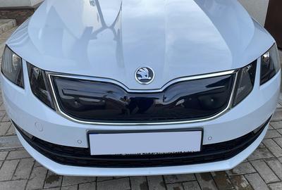 Kış ızgarası (2017-2020) Skoda Octavia III A7 için Parlak