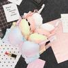 Macaron Lace Bra and Panty Set - Sexy, Supportive Women's Underwear