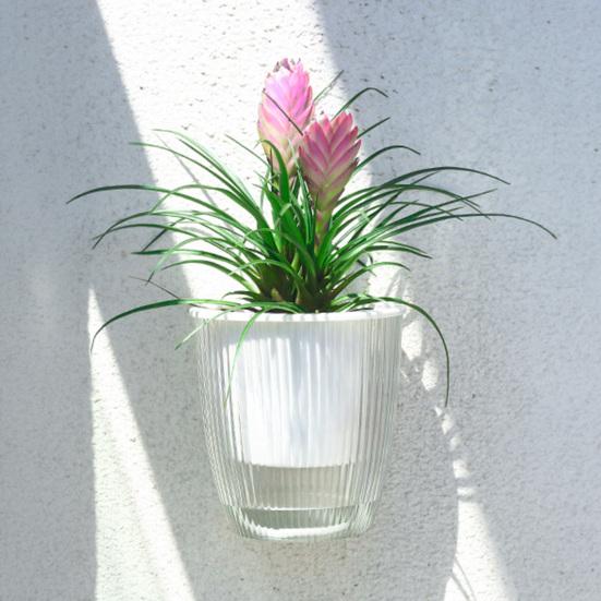 Self Watering Wall Mounted Flower Pot Double-Layer Root-Rotproof Plant Pot with Transparent Water Level for Indoor Plants Balcony Office Decor