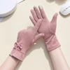 Full Finger  Gloves Thickened Winter Mittens Temperament Suede Velvet  Gloves  Ladies