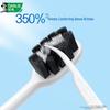Darlie Gum Care Charcoal Soft Toothbrush, 2-Pack