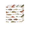 Cross-border Fishing Theme Party Supplies: Paper Plates, Flags, Napkins, and Creative Decorations Set