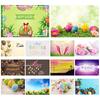Easter Theme Background Cloth Egg Bunny Backdrop Photography Photographic Party Decor Background Photo Studio