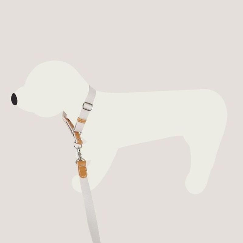 GOPE GOPE Martingale Dog Collar TAIV