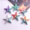 Gradient Rainbow Starfish Resin Phone Case & DIY Jewelry Hair Accessories