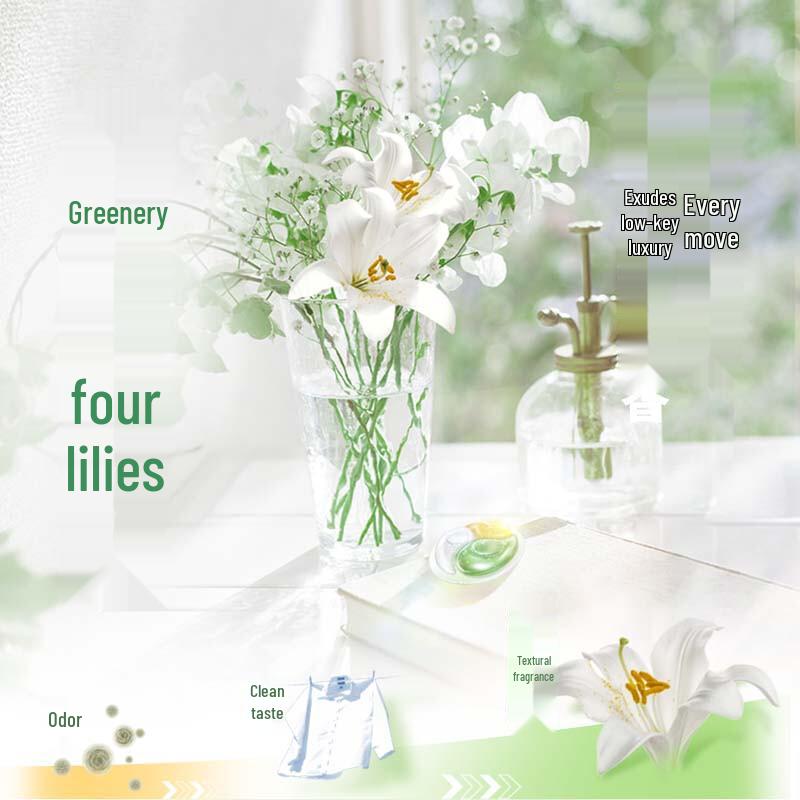 Lion Nanox Plant Extract Laundry Gel Beads