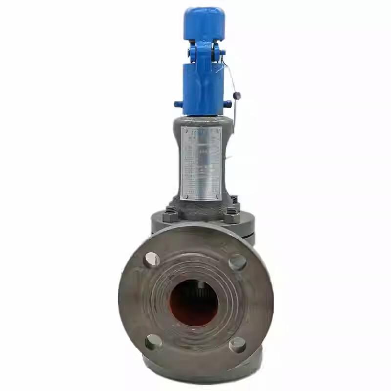 Guanshi Spring-Loaded Flange Safety Valve