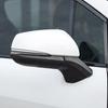 Carbon Fiber Rearview Side Mirror Strip Trim Cover For Toyota Sienna 2021-2024
