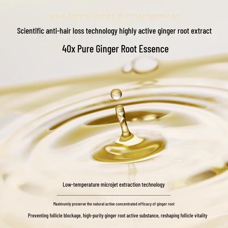 seeyoung Ginger Anti-Hair Loss Shampoo Set (Oily Scalp)