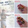 Lunari Tenkara Fly Set (12 Flies, 24 Flies) with Storage Case, Finished, for Stream Fishing, Ayu (Sweetfish), Iwana (Char) (Type A & B)