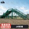 Professional Dog Training Obstacle Course Equipment