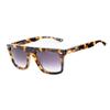 BelStaff Acetate Men S SunglaSSeS Brown