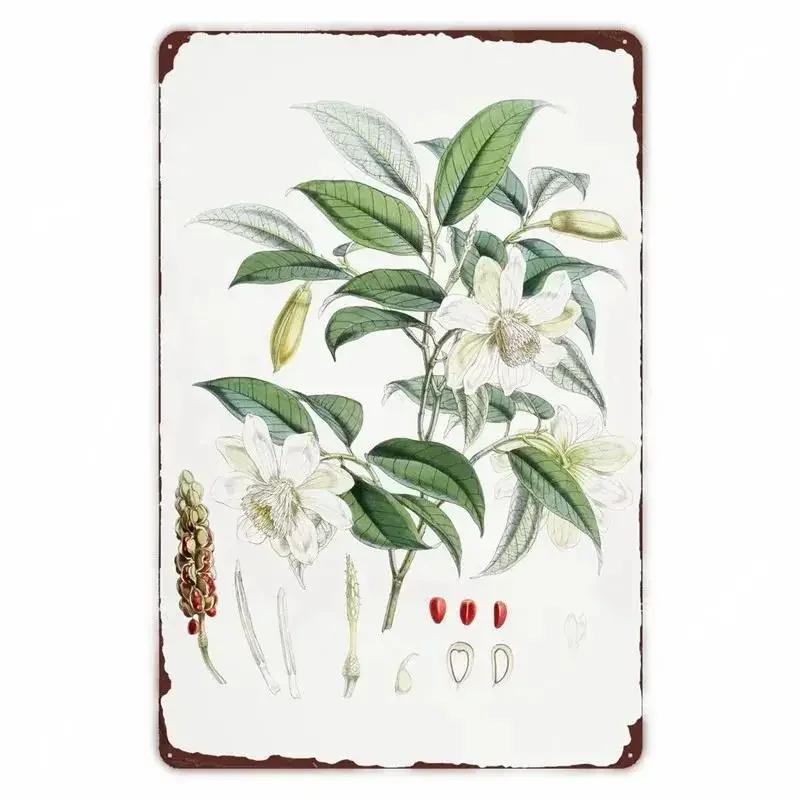 Retro Vegetable Plants Poster Vintage Fruits Metal Tin Sign Cauliflower Wall Art Sign Garden Kitchen Farm Flowers Plate Decor