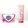 Safeguard Aloe Care Soap & Hand Cream Set