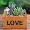 2pcs Multifunctional Wooden Succulent Flower Plant Pot Storage Box Organizer