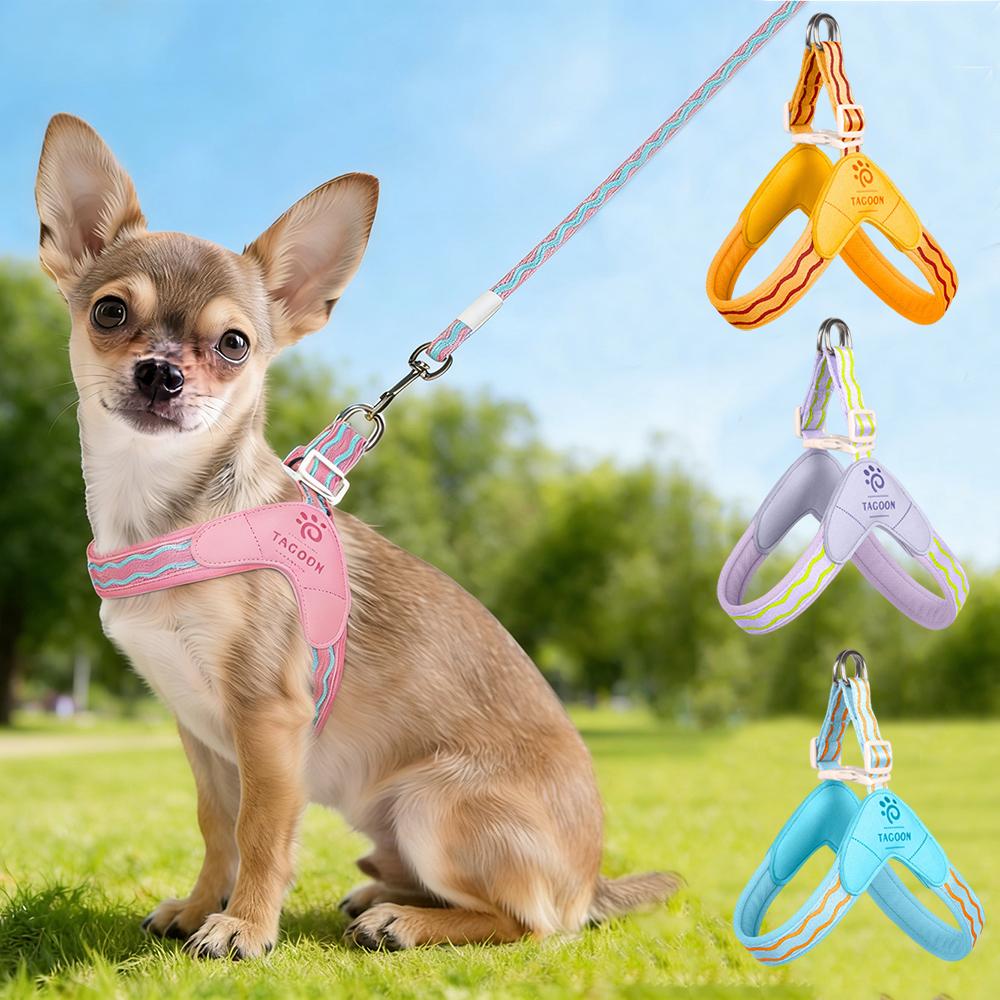 Fashion Puppy Dog Saddle Harness for Small Dogs Light Padded Pet Harnesses and Leash Set Chihuahua Poodle Mascotas Accessories