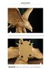 Eagle Figurine with Outspread Wings for Home, Office, or Gift Decor