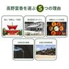 Koyasan Daishi Hall Koyarei Kou Incense Gift Box Offering Tag Sandalwood Condolences Memorial Service Obon Higan Buddhist Altar Size 16cm x 22cm Made