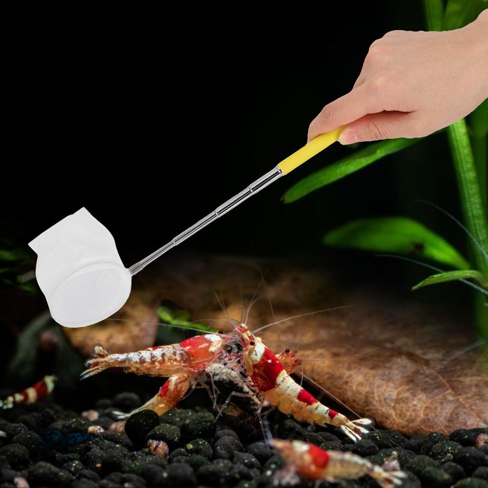 Retractable Aquarium Fish Tanks Catch Net Stainless Steel Portable Shrimp Fishing NetYellow Round