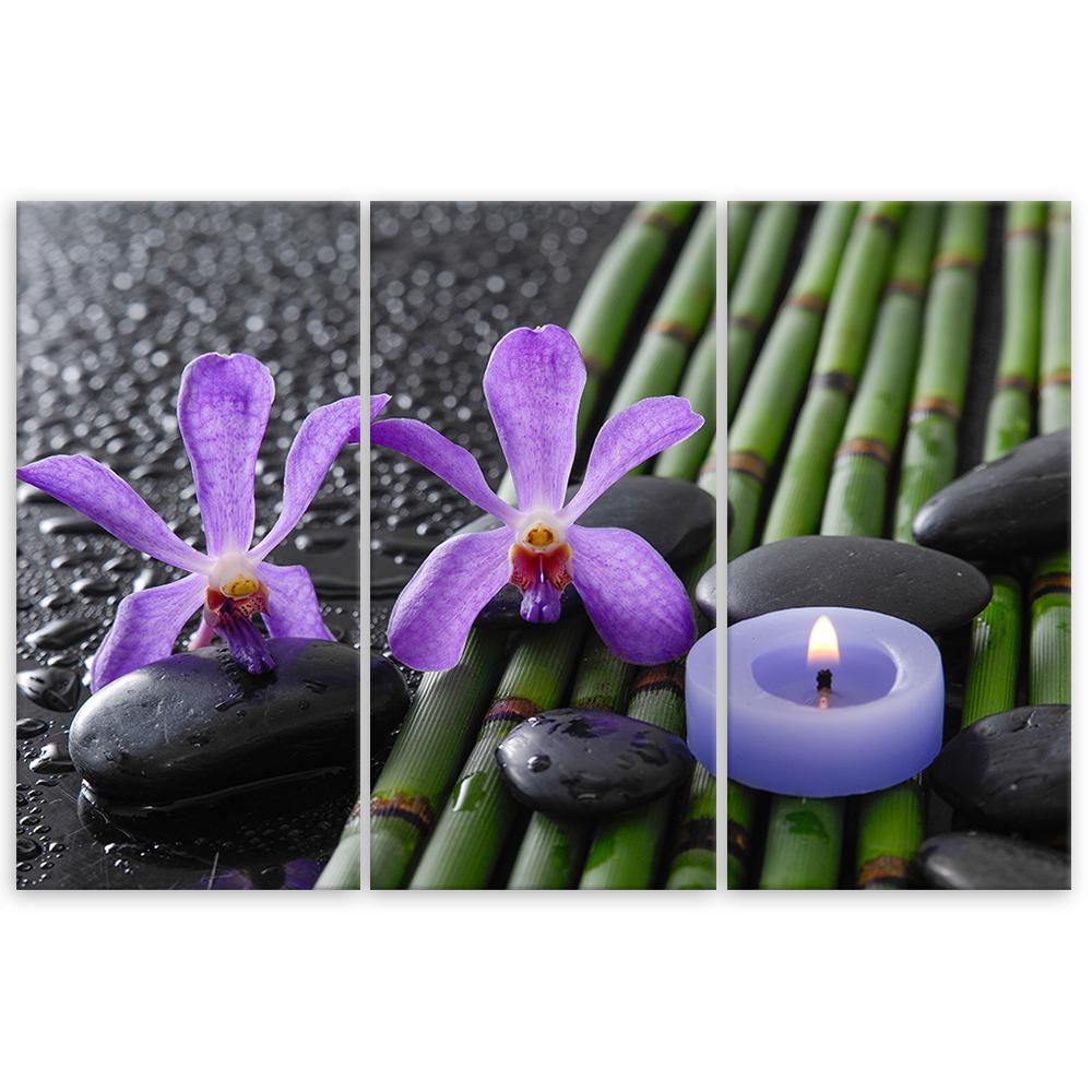 Three Piece Picture Canvas Print Bamboo Zen Flower Candle