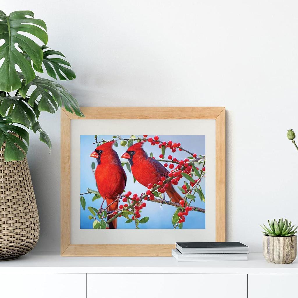 5D DIY Diamond Painting Full Round Drill Kits for Adults Cardinal Birds ...