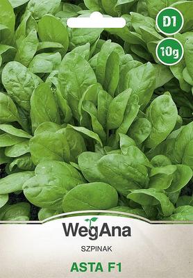 Spinat Asta F1 10g Spinatsamen -