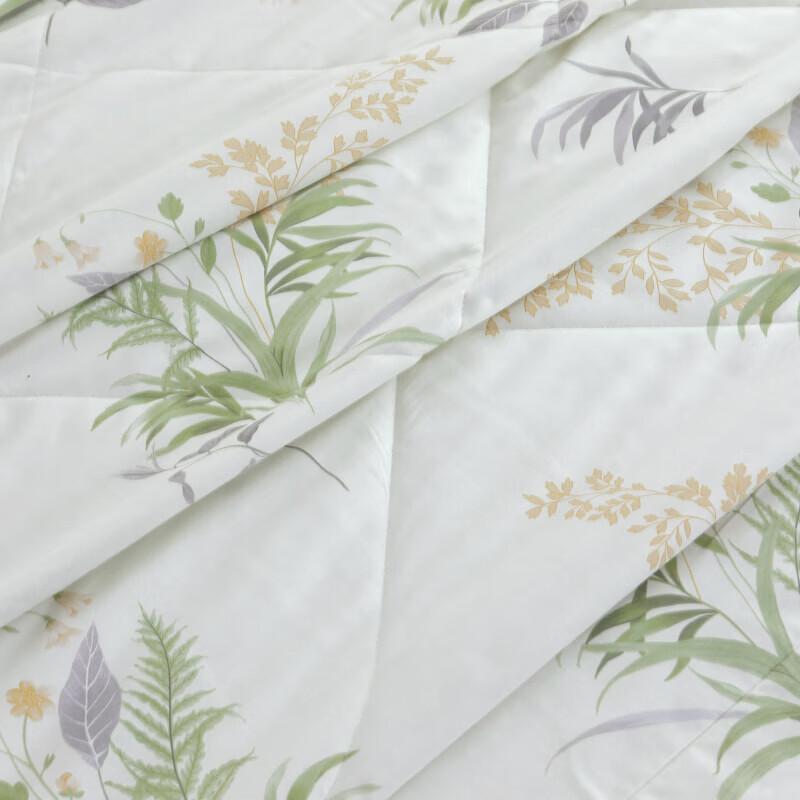 Yalu Class A Antibacterial All Cotton Printed Summer Quilt