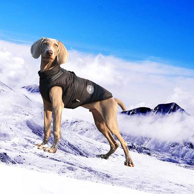 Herbst- und Winterwarme Hundekleidung Mittelgroße und Kleine Hunde Haustier Baumwollkleidung Große Hunde Brustgeschirre Integrierter Kälteschutz Verdickt