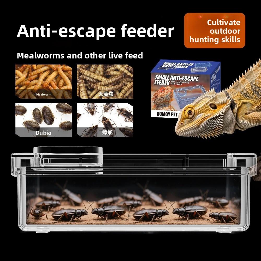Reptile Lizards Geckos Feeding Bowls Anti Overturning Prevent Tenebrio Molitor and Blaptica Dubia Water Bowls Transparent
