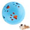 Washable Treat Dispensing Ball Hollow Hollowed Out Dog Molar Toy  Indoor Outdoor Use