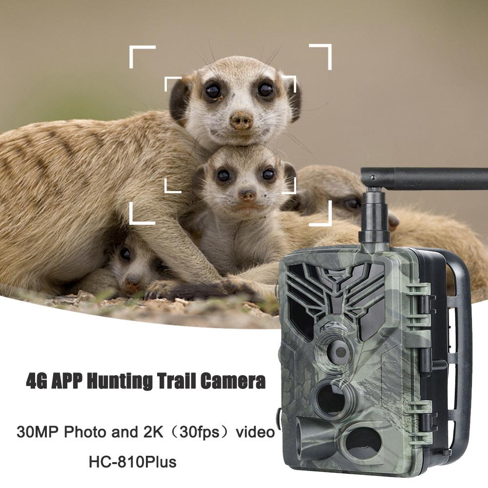 SUNTKCAM HC810PLUS 4G Hunting Camera, 30MP, 2K HD,Night Vision,IP65 Waterproof