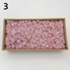 Neue 50/30/10g Künstliche Grüne Pflanzen Ewiges Leben Moos Gras Heim Garten Dekoration Mini Landschaft Künstliche Blume DIY Bastelgeschenke